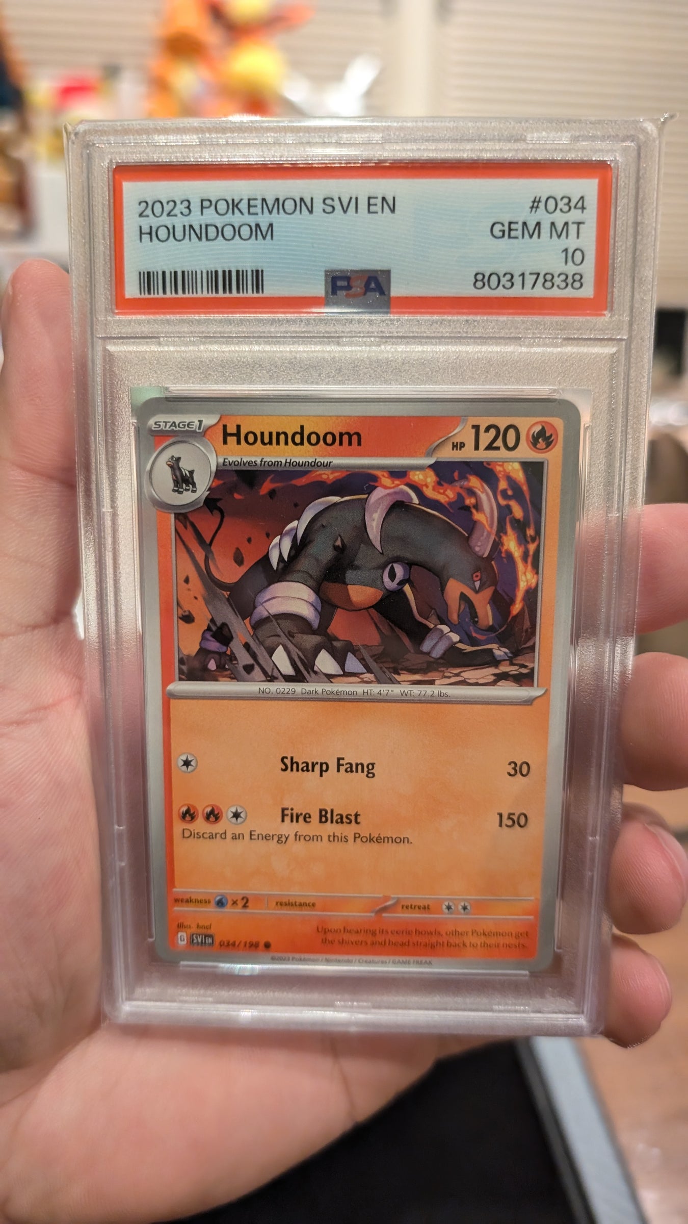 Graded Cards